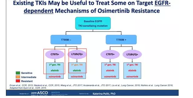 耐昔妥珠单抗联合奥希替尼挽救各代TKI耐药！！